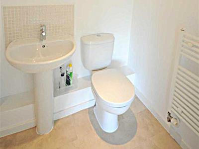 Picture 7